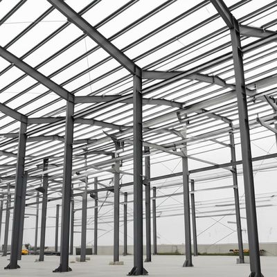 Steel Structure Warehouse with Snow Load 30~200kg Per Sqm and Concrete/Steel Piers Foundation Including Installation Support