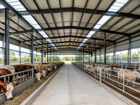 Cappotto carico attivo 035kn M2 Struttura in acciaio leggero Magazzino Edificio di stoccaggio in acciaio Durabile e soluzione per le esigenze di stoccaggio industriale